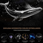 Proyector de estrellas y luz nocturna